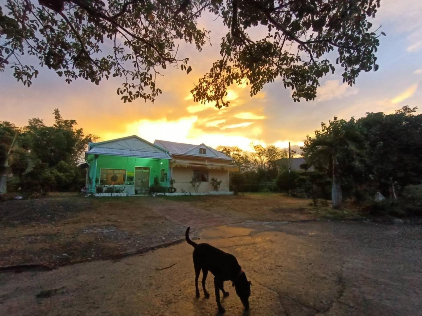 מלון צ'ישאנג 十畝田山莊會館 מראה חיצוני תמונה