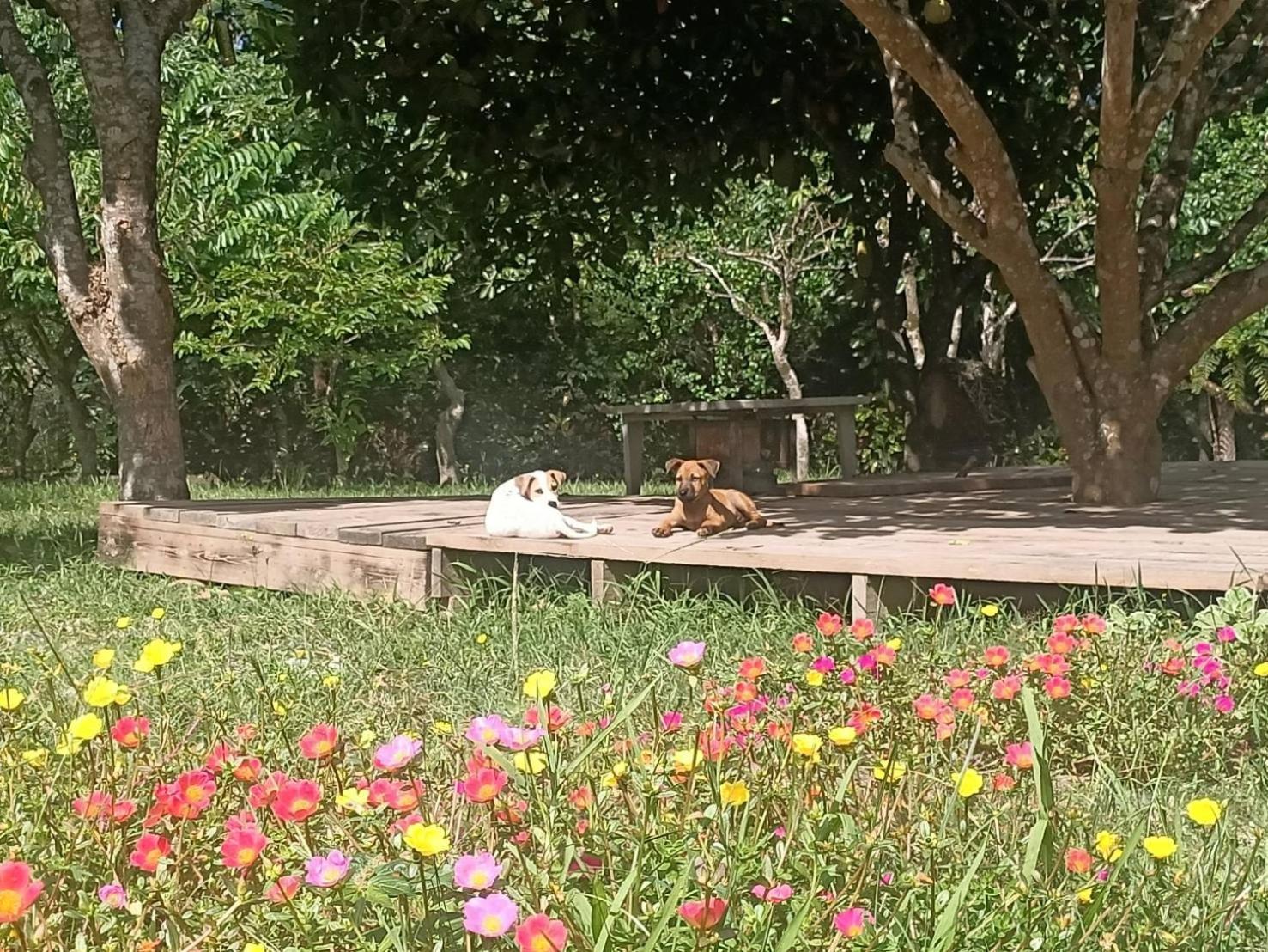 מלון צ'ישאנג 十畝田山莊會館 מראה חיצוני תמונה